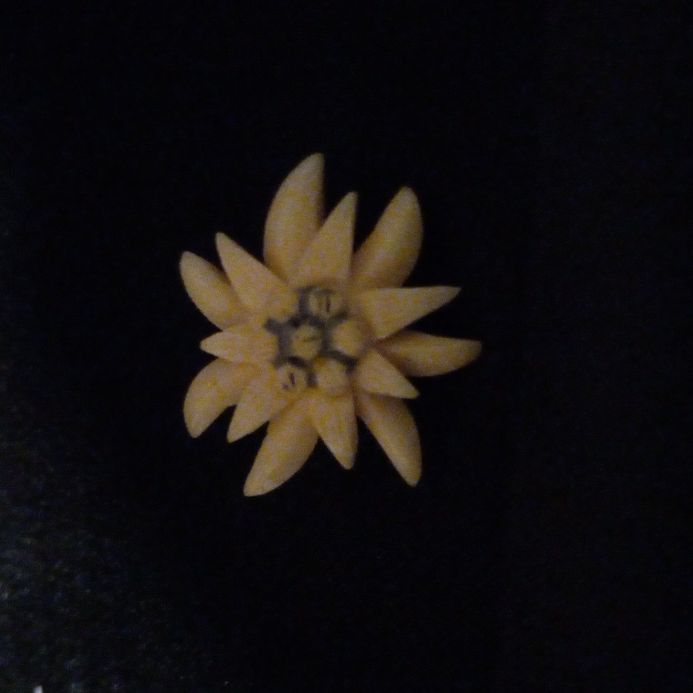 Antique bone brooch